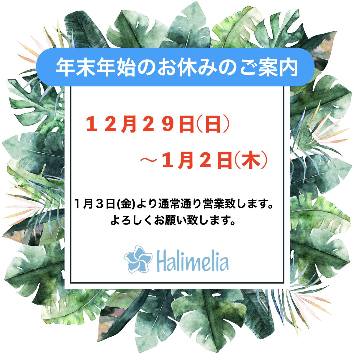 １２月・年末年始の休診日のお知らせ